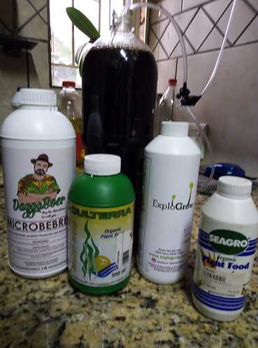 IMG-20200208-WA0002