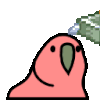 :flyingmoneyparrot: