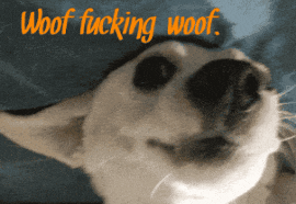 wooffingwoof