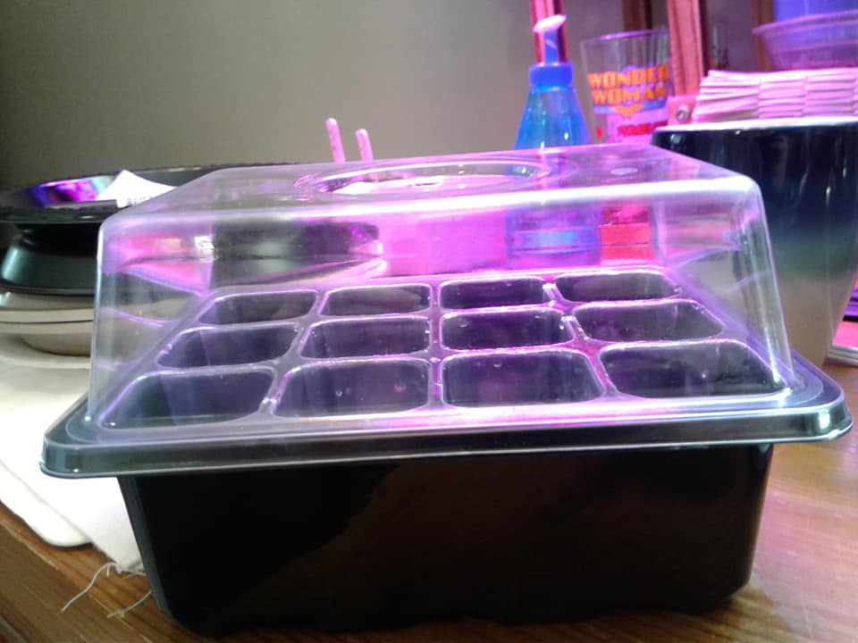 GN Seedling Tray Side View
