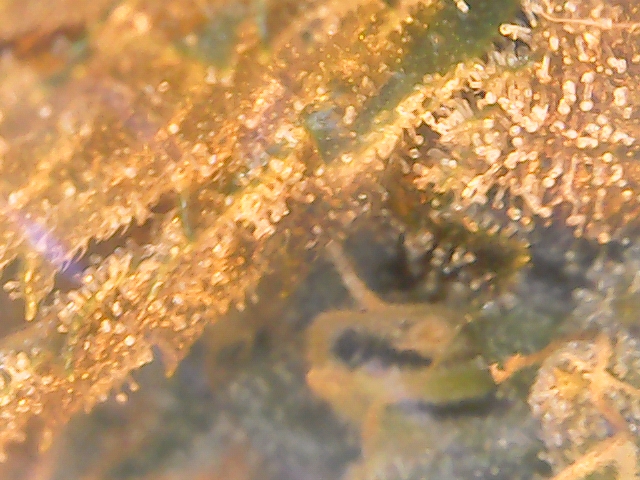 2019-09-18_19-37-05-40_166646345955465