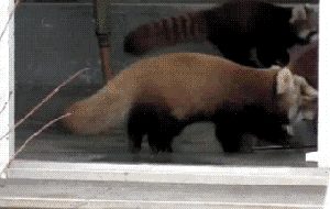 tumblr_nitaf2lm1G1spdt2jo1_4001