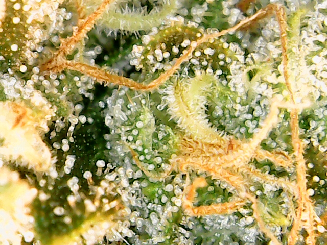 2019-09-18_19-39-53-70_166530102954468