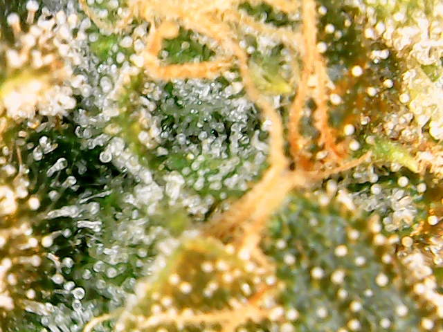 2019-09-18_19-39-45-72_166439430264450